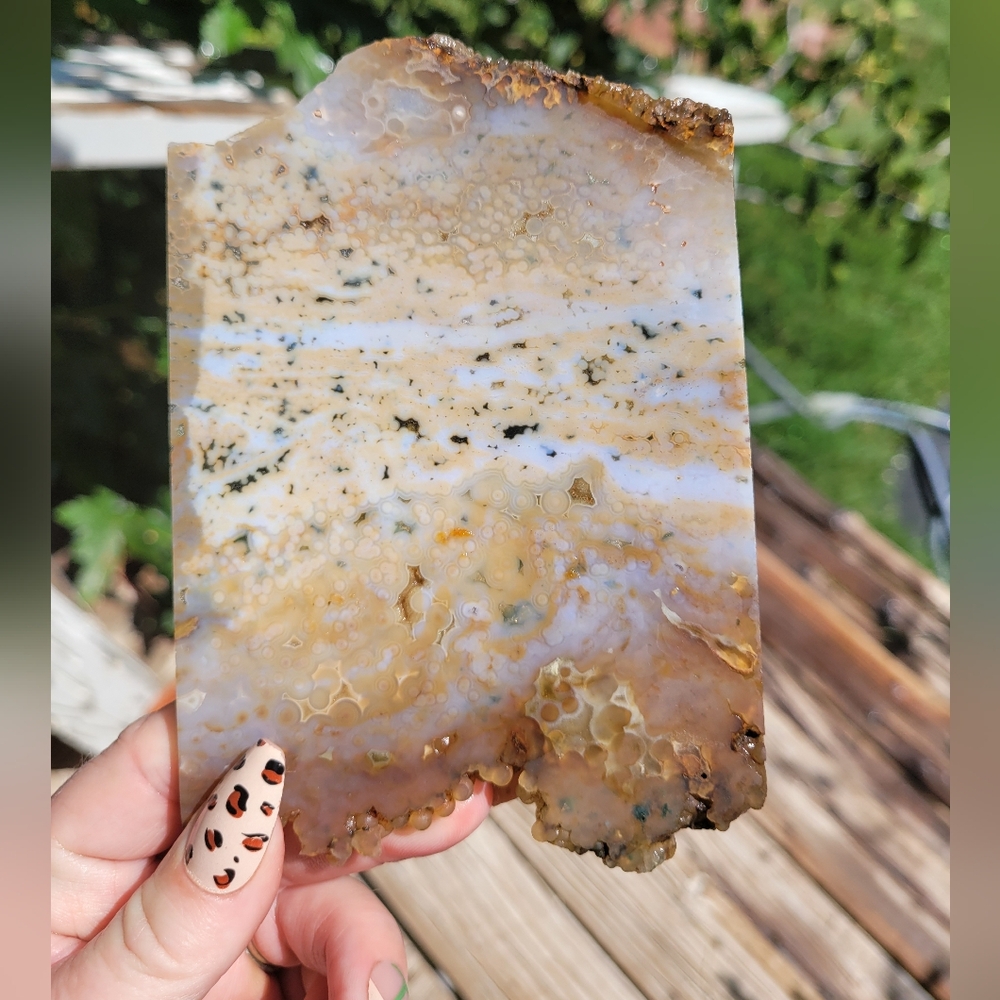 Natural Colorful Ocean Jasper Stone Slab